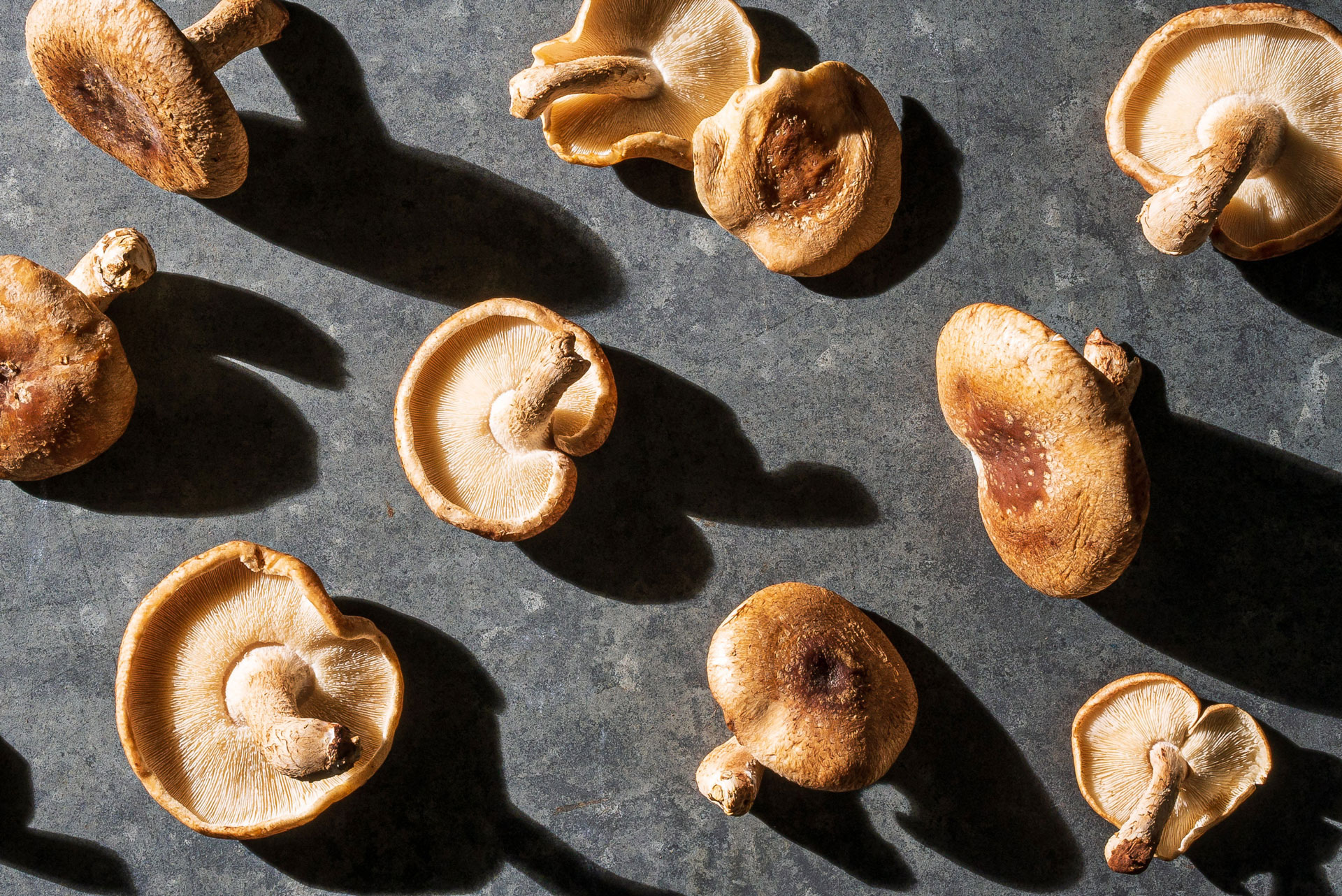 Mushrooms by French Butter